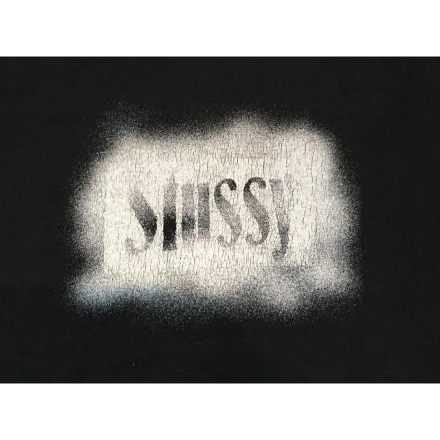STUSSY(ステューシー)のstussy ステューシー　Tシャツ　Ｌサイズ メンズのトップス(Tシャツ/カットソー(半袖/袖なし))の商品写真