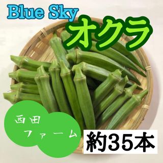 熊本県八代産 新鮮オクラ(ブルースカイ)約35本(野菜)