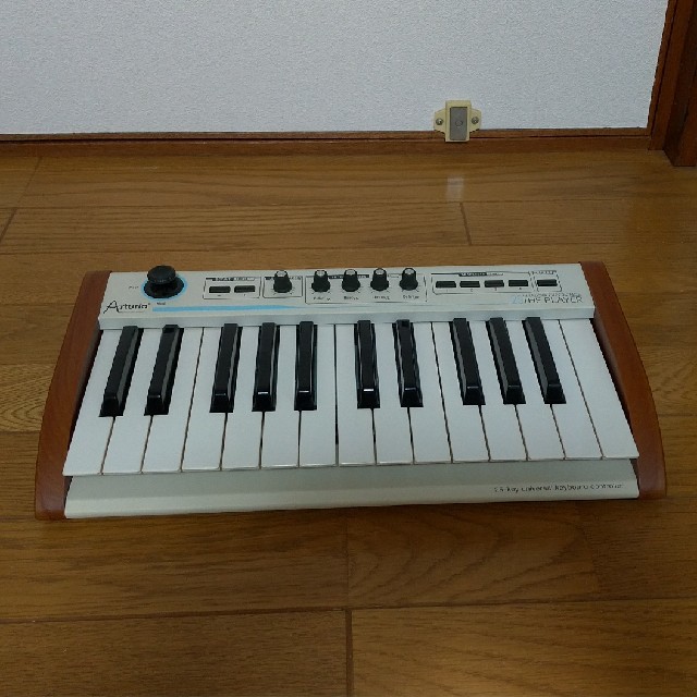 Arturia ANLOG EXPERIENCE THE PLAYER 25