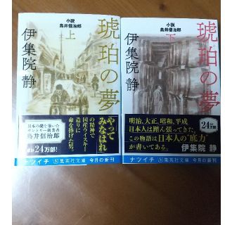 琥珀の夢 小説鳥井信治郎 上下(文学/小説)