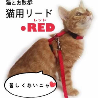 猫用リード ハーネス 猫 カラー レッド ナイロン製 長さ調整可能 (猫)