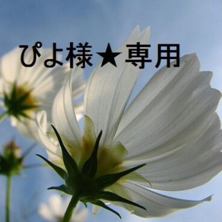 ぴよ様★専用品(ヘアケア)