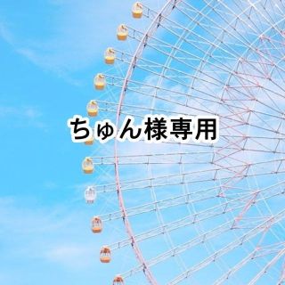 アンドロイド(ANDROID)のちゅん様専用4本セット(バッテリー/充電器)