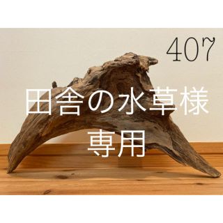 大型　流木【407.420】(置物)