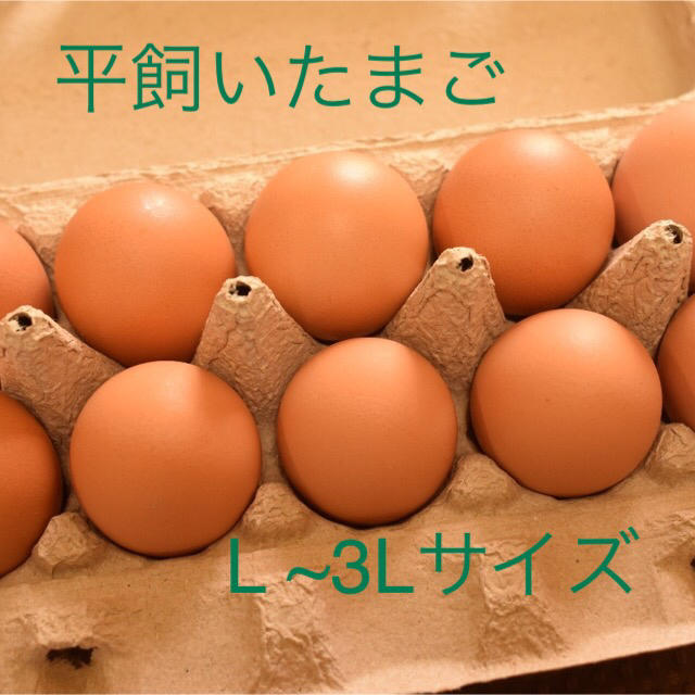 平飼いたまご　 L ~3Lサイズ　10個入り3パック 国産もみじの卵　新鮮 食品/飲料/酒の食品(野菜)の商品写真