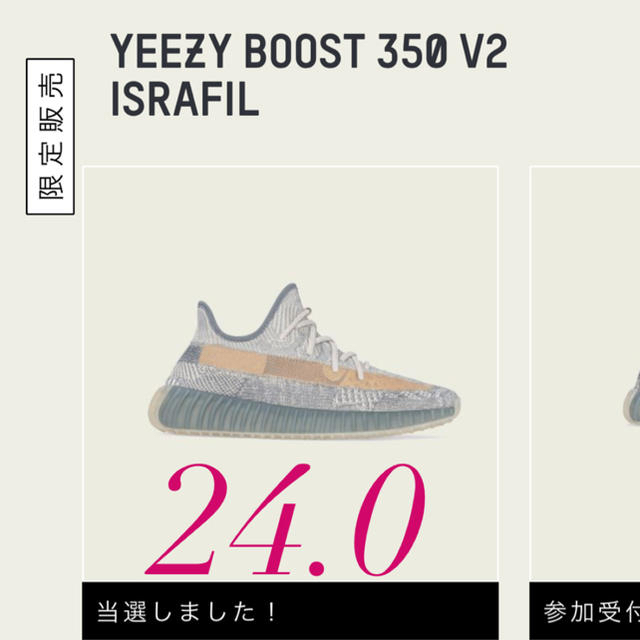 adidas(アディダス)のYEEZY BOOST 350 V2 ADULTS レディースの靴/シューズ(スニーカー)の商品写真