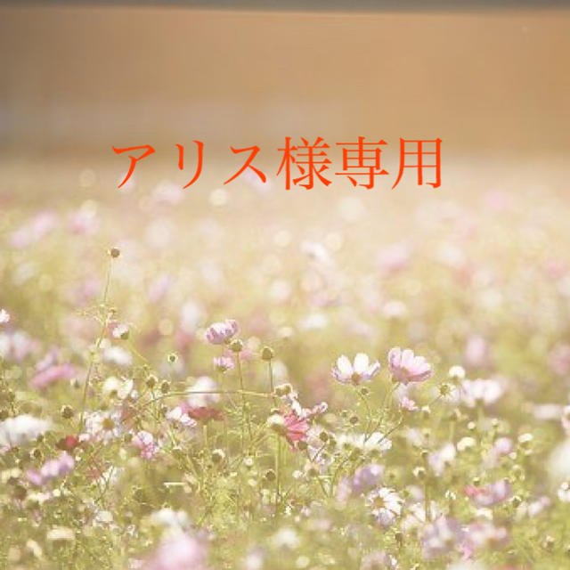 アリス様専用ページの通販 by Irene|ラクマ