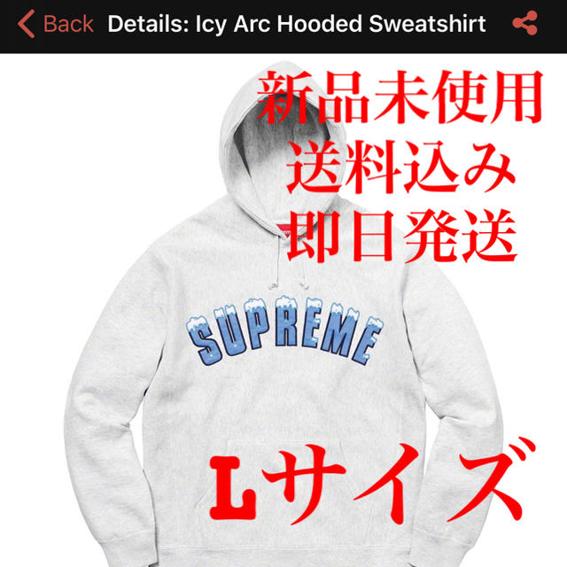 supermeシュプリーム superme Icy Arc Hooded Sweatshirt