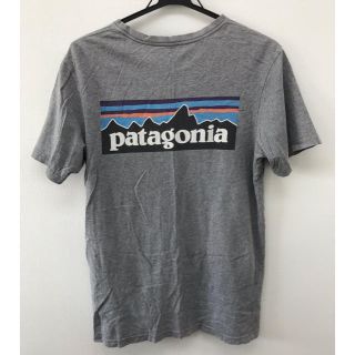 パタゴニア(patagonia)のパタゴニア グレー ティシャツ 大人気 限定出品(Tシャツ/カットソー(半袖/袖なし))