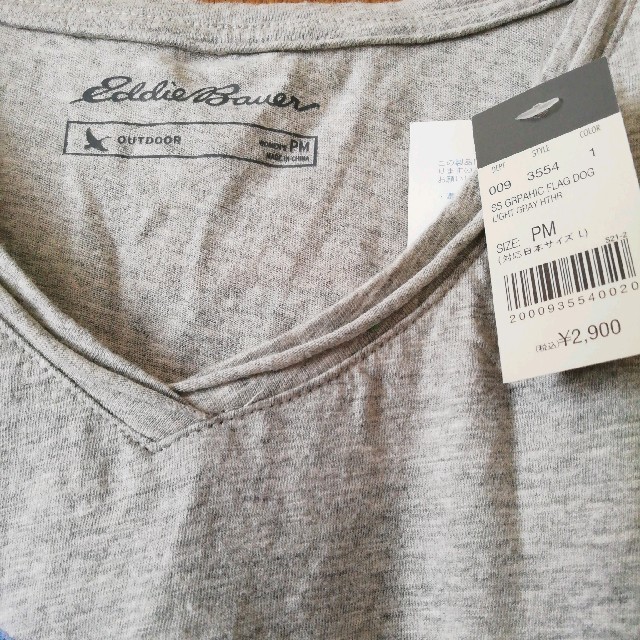 Eddie Bauer(エディーバウアー)のレディースTシャツ　グレー　エディーバウアー　 レディースのトップス(Tシャツ(半袖/袖なし))の商品写真