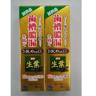 コバヤシセイヤク(小林製薬)の小林製薬　生葉　試供品10g✕2個(歯磨き粉)