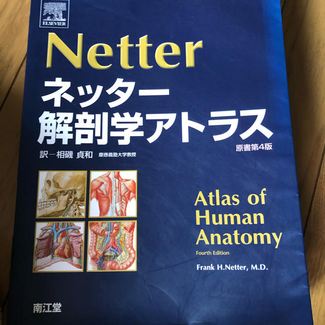解剖学アトラス エンタメ/ホビーの本(健康/医学)の商品写真
