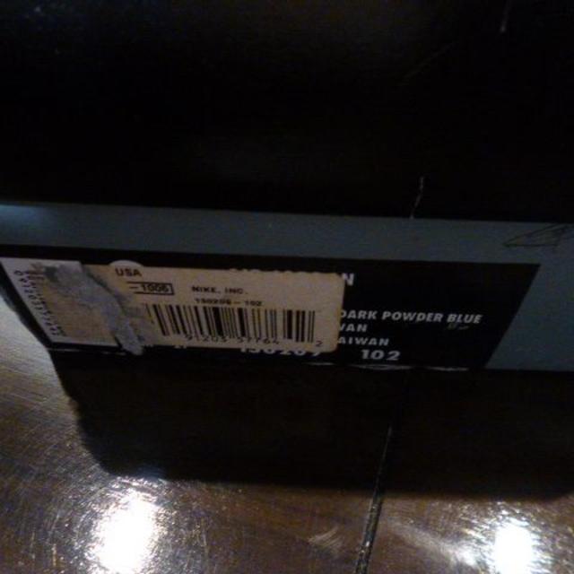 AIR JORDAN10 NY 26cm