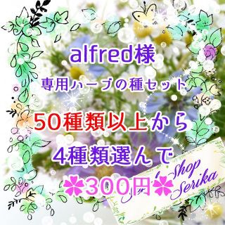 alfred様専用 ハーブの種セット 家庭菜園 野菜(その他)