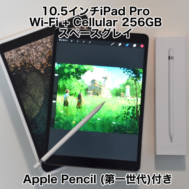 別倉庫からの配送】 Apple Wi-Fi+cellular 256GB pro10.5 【ゆう】iPad