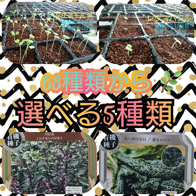 68種類から選べる‼️ 野菜の種 ハーブの種 有機種子 固定種 家庭菜園 水耕 食品/飲料/酒の食品(野菜)の商品写真