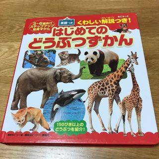 コウダンシャ(講談社)の図鑑　絵本　はじめてのどうぶつずかん　幼児絵本(絵本/児童書)