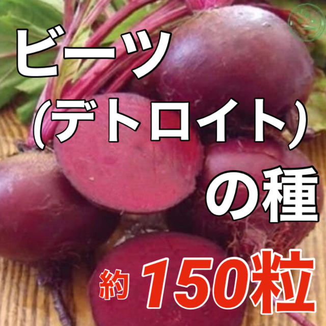 【スーパーフードの種子】ビーツ/ビート デトロイトの種 約150粒程 野菜 種 食品/飲料/酒の食品(野菜)の商品写真