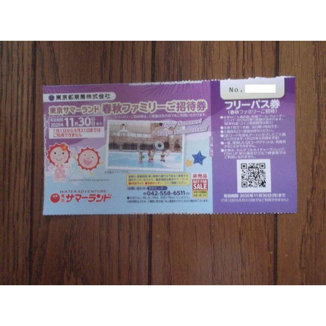 東京サマーランドフリーパス1枚(8月利用不可) チケットの施設利用券(プール)の商品写真