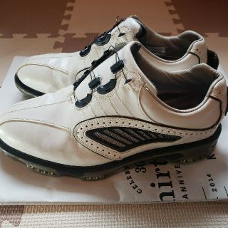 フットジョイ(FootJoy)のゴルフシューズ　中古　FootJoy　27センチ　【値下げ】(シューズ)