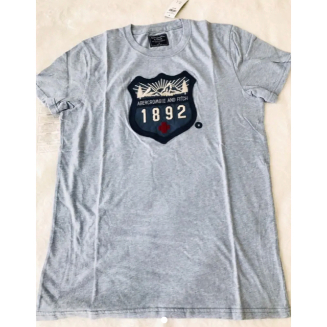 Abercrombie&Fitch(アバクロンビーアンドフィッチ)の新品　アバクロ　Tシャツ メンズのトップス(Tシャツ/カットソー(半袖/袖なし))の商品写真