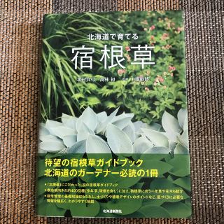 北海道で育てる宿根草 ガーデニング 寒冷地の通販 ラクマ 北海道で育てる宿根草 ガーデニング 寒冷地の通販 ラクマ