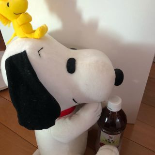 ピーナッツ(PEANUTS)のスヌーピー♡SNOOPY♡ぬいぐるみ(ぬいぐるみ)