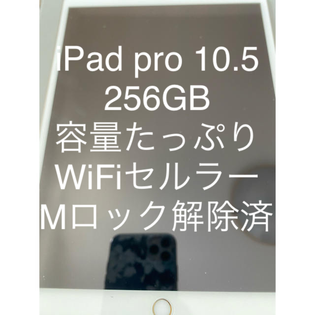専用※ただし元値でご購入は可能iPad pro 10.5 256GB