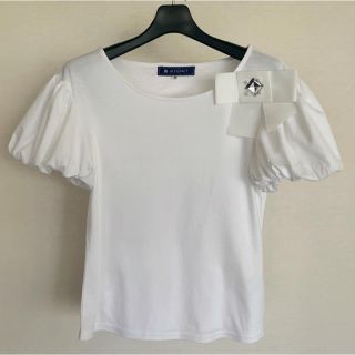 エムズグレイシー(M'S GRACY)のエムズグレイシー　Tシャツ　38(Tシャツ(半袖/袖なし))