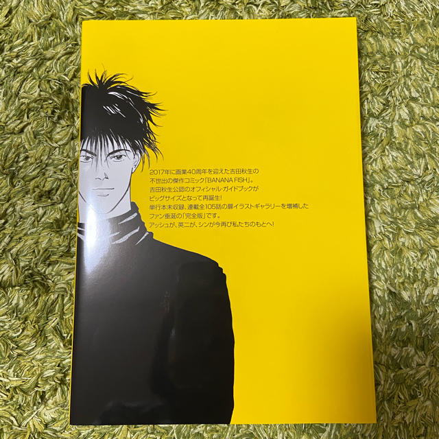 BANANA FISH(バナナフィッシュ)のBANANA FISH オフィシャルガイドブック REBIRTH エンタメ/ホビーのアニメグッズ(その他)の商品写真