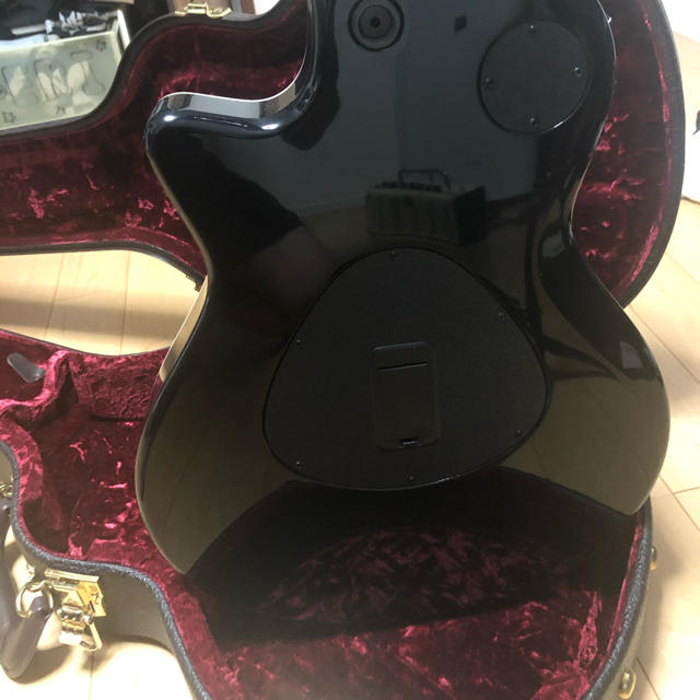 最終値下げ Taylor/T5z Standard / Black - 3