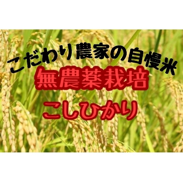 こだわり農家の自慢米  白米１０㎏(無農薬栽培)