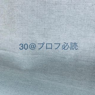 30@プロフ必読様　silver925  シンプルリング　4.5号セット(リング(指輪))