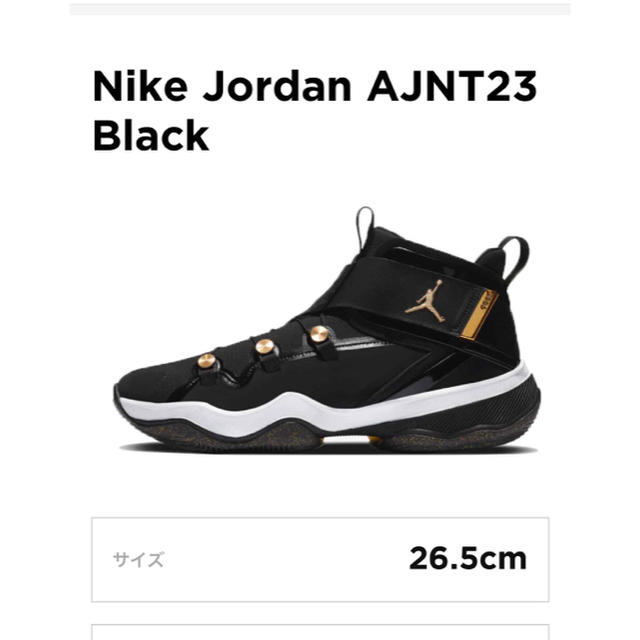 NIKE JORDAN AJNT23 "BLACK"(ブリーフケース付き)