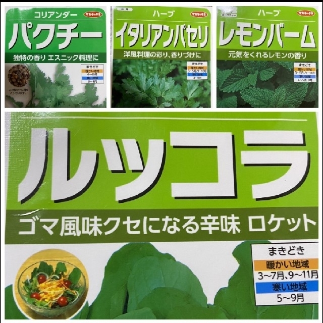 野菜の種　4種類  家庭菜園  プランター 食品/飲料/酒の食品(野菜)の商品写真