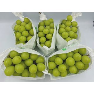 山梨県産　出品　シャインマスカット🍇5房　　1房約550g前後(フルーツ)