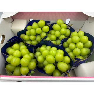 山梨県産　秀品　シャインマスカット🍇5房　　1房約550g前後(フルーツ)