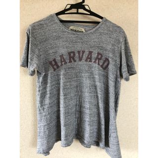 シンゾーン(Shinzone)のシンゾーン　shinzone Tシャツ(Tシャツ(半袖/袖なし))