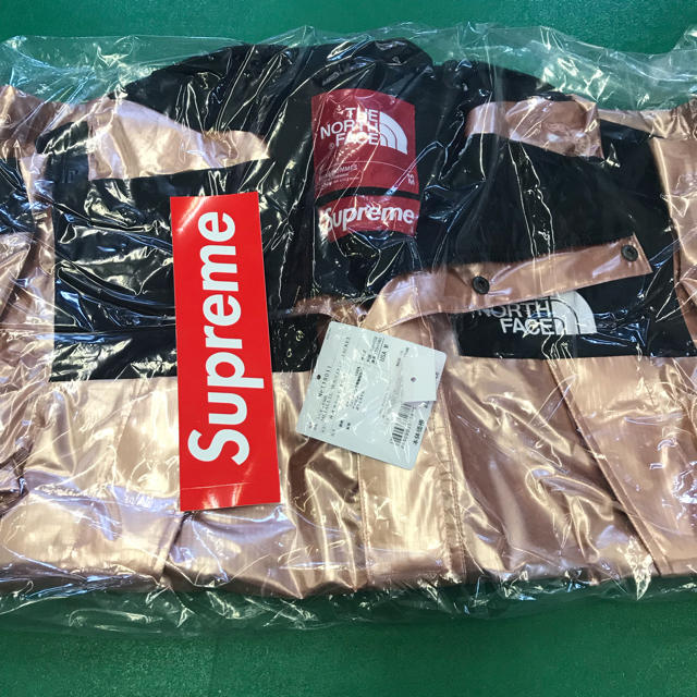 Supreme The North face Metallic Mountain