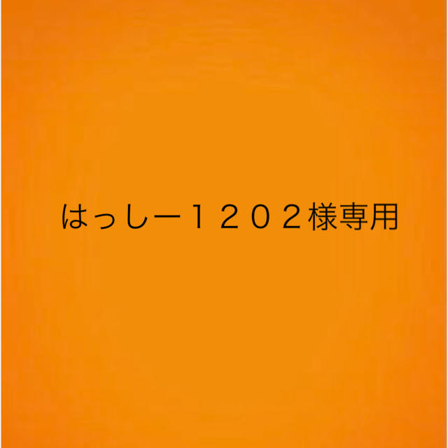 はっしー１２０２様専用 その他のその他(その他)の商品写真