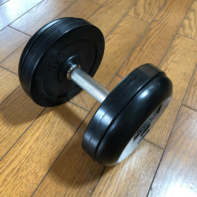 (1個のみ) BODYMAKER 可変ラバーダンベル 20kg