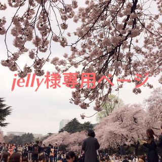 jelly様専用(ポーチ)