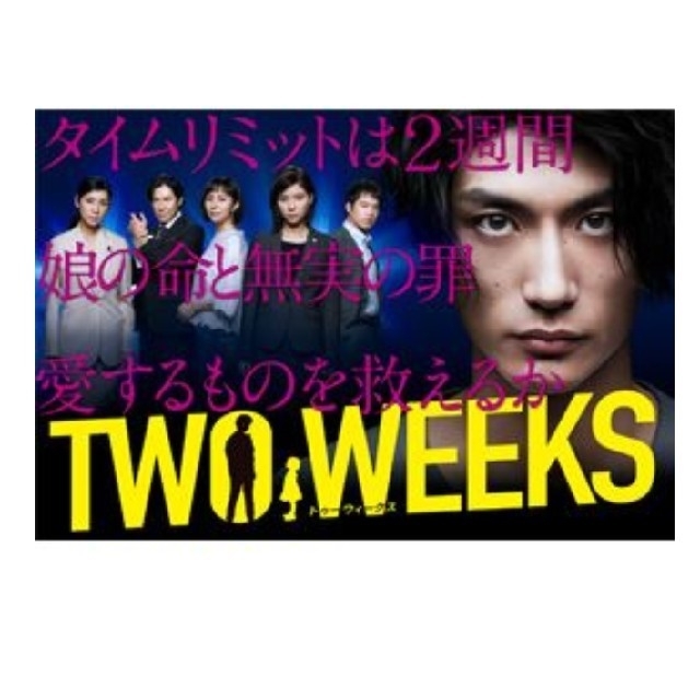 TWO WEEKS DVD-BOX 三浦春馬　比嘉愛未　芳根京子　稲垣来泉