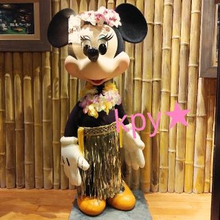 ディズニー(Disney)の❇️わんわんレディ様/ディズニー　パイレーツ❇️(キャラクターグッズ)