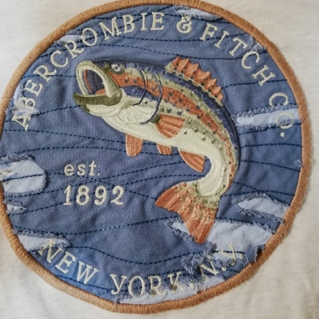 Abercrombie&Fitch(アバクロンビーアンドフィッチ)のアバクロ　魚　tシャツ メンズのトップス(Tシャツ/カットソー(半袖/袖なし))の商品写真