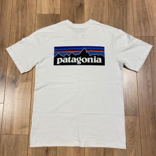 パタゴニア(patagonia)の【せんごく様専用】パタゴニア　レスポンシビリティtee(Tシャツ/カットソー(半袖/袖なし))