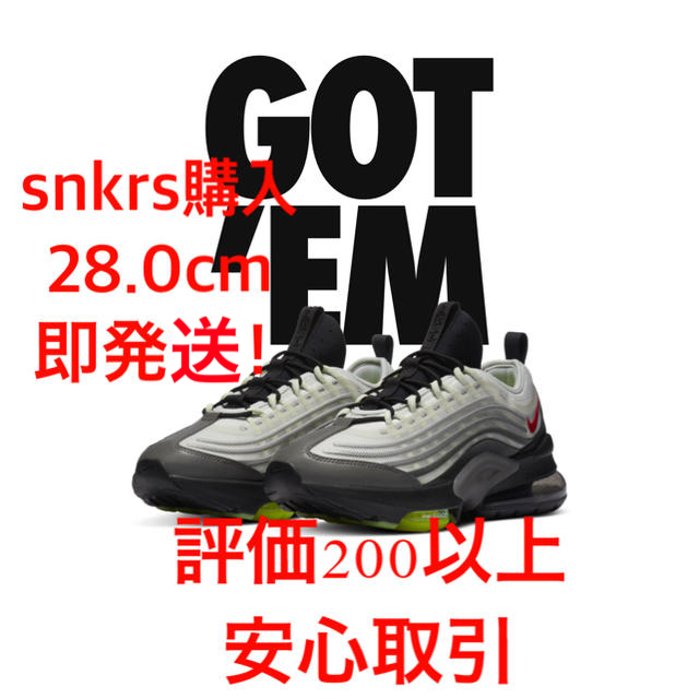 靴/シューズNIKE エアマックスZM950 28.0cm ナイキ　airmax