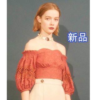 リリーブラウン(Lily Brown)の新品★Lily Brown 袖ボリュームトップス(シャツ/ブラウス(半袖/袖なし))