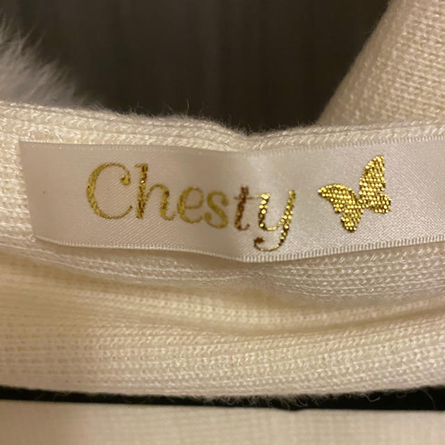 Chesty(チェスティ)のChestyフード付きストール レディースのファッション小物(マフラー/ショール)の商品写真