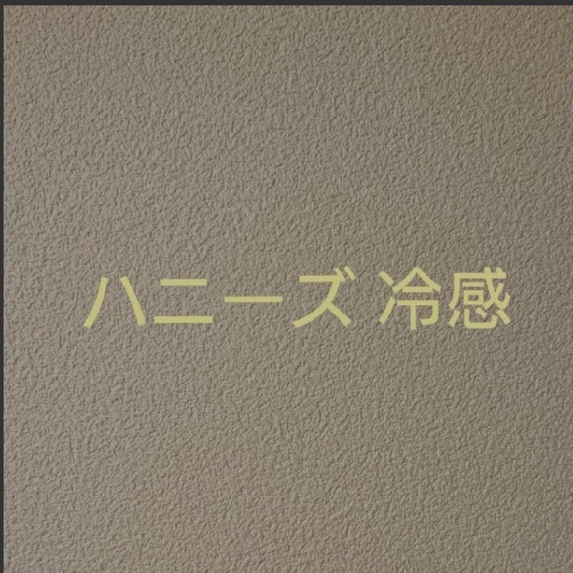 HONEYS(ハニーズ)のハニーズ 冷感 インテリア/住まい/日用品の日用品/生活雑貨/旅行(日用品/生活雑貨)の商品写真